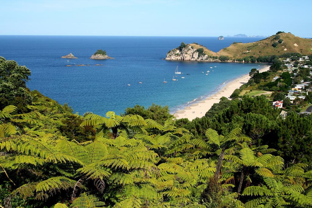 Hahei Beach Escape Ngoại thất bức ảnh